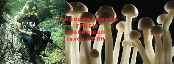 спиды Абаза