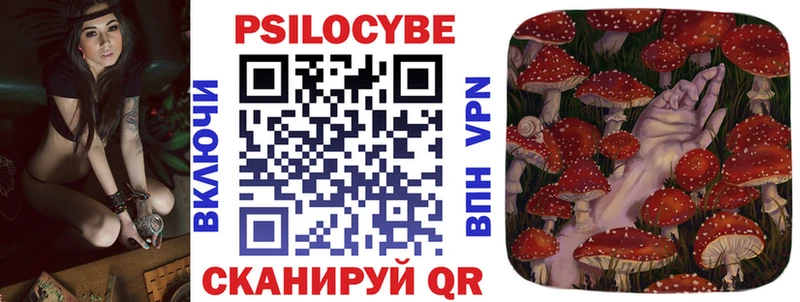 Галлюциногенные грибы Psilocybine cubensis  kraken ссылки  Камызяк  купить наркоту 